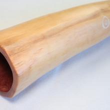 Kurungaï K26 – 2